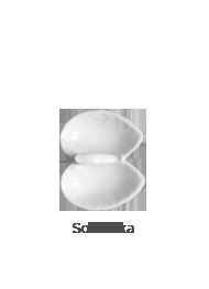 ROCOCO Solniczka